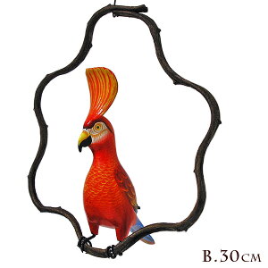 썑̃Jto[h ݂艺 ؂̘g Lm̒30cm] AWA G o G ^C G AWA CeA