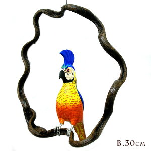 Jto[h ݂艺 ؂̘gm̒30cm] `L[ `LnEX  CeA AWA G o G ^C G AWA CeA
