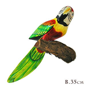 Jt o[h Ǌ| VR؂̎~ [ 35cm]   `L`LnEX CeA ̒u IuWF ̏ AWA o ^C G