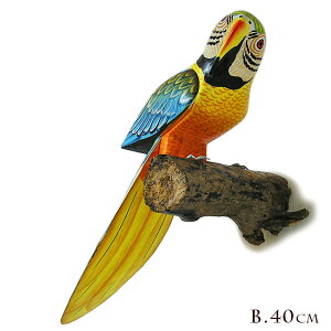 Jto[h Ǌ| VR؂̎~؁m̒40cm] `L`LnEX  CeA IuWF AWA G o G ^C G AWA CeA