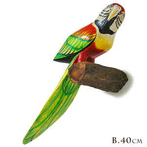 Jto[h Ǌ| VR؂̎~؁m̒40cm] `L`LnEX  CeA IuWF AWA G o G ^C G AWA CeA