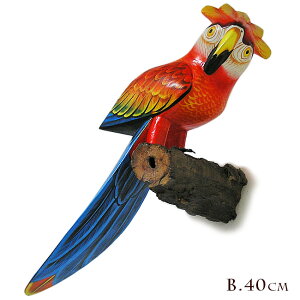 Jto[h Ǌ| VR؂̎~؁m̒40cm] `L`LnEX  CeA IuWF AWA G o G ^C G AWA CeA