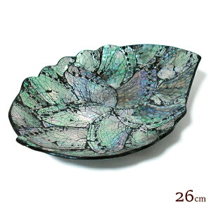 VFE}^gDW̃g[ [t^ M ubN [26cmx19cm]  ς M CeA AWA G o G ^C G AWA