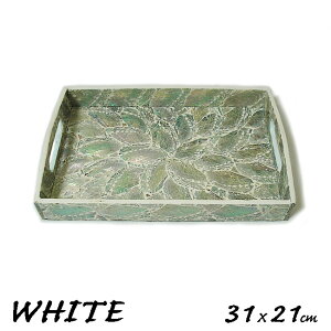 VFE}^gDW ~ gC zCg [31cmx21cm] STCY 2`4lp  ς ڂ P[X g[ M CeA AWA G o G ^C G AWA