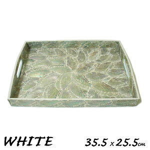 VFE}^gDW ~ gC zCg [35.5cmx25.5cm] MTCY 4`5lp  ς ڂ P[X g[ M CeA AWA G o G ^C G AWA