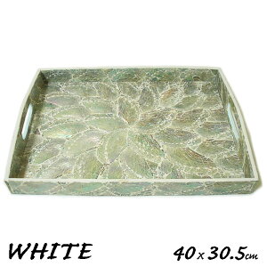 VFE}^gDW ~ gC zCg [40cmx30.5cm] LTCY 6`8lp  ς ڂ P[X g[ M CeA AWA G o G ^C G AWA