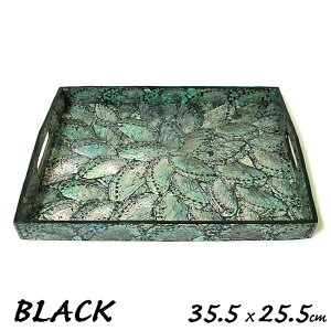 VFE}^gDW ~ gC ubN [35.5cmx25.5cm] MTCY 4`5lp  ς ڂ P[X g[ M CeA AWA G o G ^C G AWA