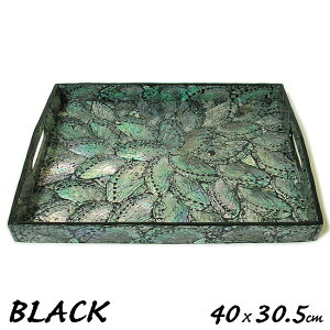 VFE}^gDW ~ gC ubN [40cmx30.5cm] LTCY 6`8lp  ς ڂ P[X g[ M CeA AWA G o G ^C G AWA