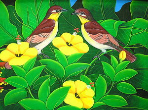 oA[gGMwX̏Bԁx AWA G o G ^C G AWA CeA 