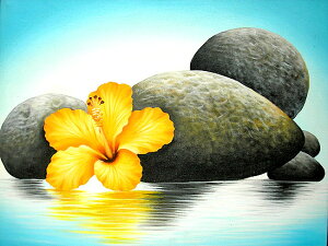 oA[gGLLwӂ̃nCrXJXw/ stonesxIWnFz73cmx63cm AWA G o G ^C G AWA CeA 