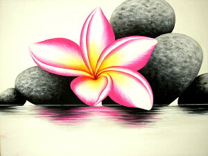 oA[gGLLwӂ̃tWpjw/ stonesxZsNz73cmx63cm AWA G o G ^C G AWA CeA 