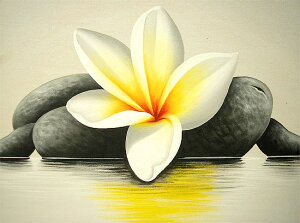 oA[gGLLwӂ̃tWpjw/ stonesxz73cmx63cm AWA G o G ^C G AWA CeA 