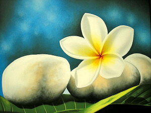 oA[gGLLw[tƃtWpjw/ stonesxzCgz73cmx63cm AWA G o G ^C G AWA CeA 