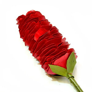 CeAA[gvc  bh[H.90cm] yfR[Vt[ ԁz AWA G o G ^C G AWA CeA