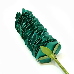 CeAA[gvc  O[[H.90cm] yfR[Vt[ ԁz AWA G o G ^C G AWA CeA