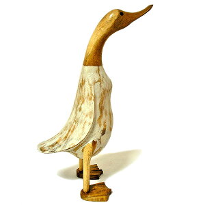 ؒ̃Aq AeB[Ndグ i` [H.39cm] CeAl`yAWAG o G ^CG AWACeA pybgl`z
