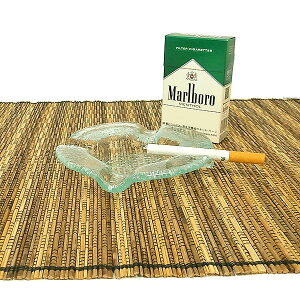 o KX̊DM AbVg[ ی^ AWA G o G ^C G AWA CeA