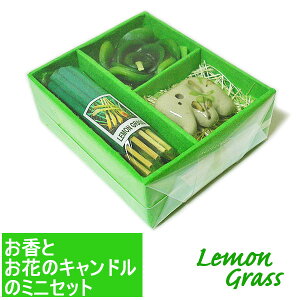 ^Ĉ Ԃ̃Lh ~jZbg [OX]  MtgZbg ZbgA}es[ Ƃ bNX ̎ AWA G o G ^C G AWA 