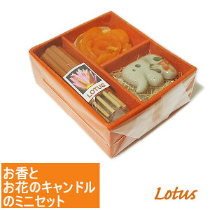 ^Ĉ Ԃ̃Lh ~jZbg [[^X]  MtgZbg ZbgA}es[ Ƃ bNX ̎ AWA G o G ^C G AWA C