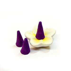 ^Ĉ R[^Cv CZX x_[ 10 AWAG ^CG GXjbN tOX A}  pi   bNX  킢  t[ 