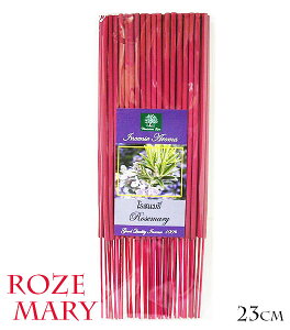 ^Ĉ XeBbN^Cv [[Y}[] 23cm 50{ CZXA} AWA G o G ^C G AWA CeAy䂤pPbgΉz