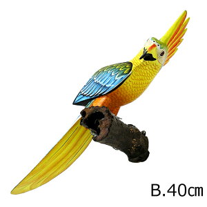 Jto[h Ǌ| VR؂̎~؁m̒40cm] `L`LnEX  CeA IuWF AWA G o G ^C G AWA CeA