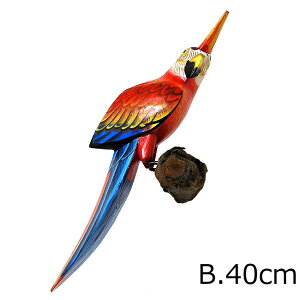 Jto[h Ǌ| VR؂̎~؁m̒40cm] `L`LnEX  CeA IuWF AWA G o G ^C G AWA CeA