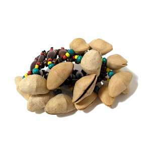 AWÅy ݂̂̃}JXuXbg AWA G o G ^C G AWA CeA