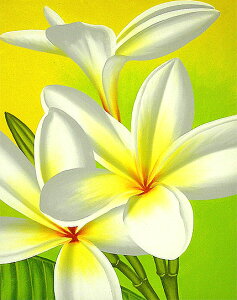 oA[gGLcwzCgEvAx AWA G o G ^C G AWA CeA 