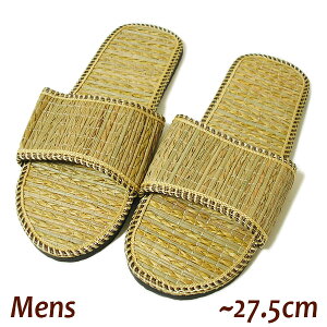 䂤pPbgXbp Y  [V[Y ~  Mens jp ~27.5cm T_   V[Y C S y ₷ GXjbN o ^C G t