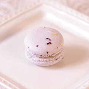 `11/3 P10{I}J Iׂ 11 }VF a bsO 1` Mtg v[g VR. Yx[ sX^`I S JVX ܉ oj JtF IW  җ