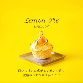 レモンパイ＊プチ メレンゲ スイーツ 送料無料 プチギフト対応 爽やか 甘酸っぱい ケーキ シトロン プレゼント ギフト お取り寄せ お誕生日 手土産 お茶会 お持たせ おやつ