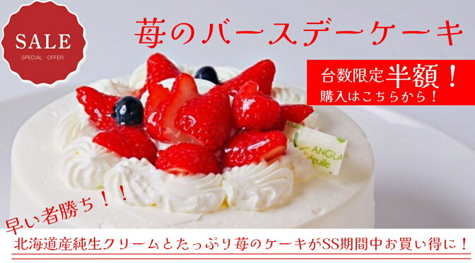 期間限定半額セール！