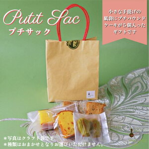 【27日09:59まで限定!エントリーでポイント10倍!】ギフト 手提げ プチ焼き菓子5個入り 送料無料 ギフトに使える おすすめ 焼き菓子 ご褒美 個包装 詰め合わせ プレゼント 退職 挨拶 引越し