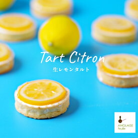 生レモンタルト1個 〜 誕生日 個包装 ご褒美 アイス メレンゲ レモンスイーツ ケーキ シトロン スライス パイ スイーツ 爽やか プレゼント お茶うけ 還暦 出産祝 手土産 お茶会 お持たせ おやつ 食べきり