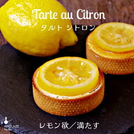 父の日 生レモンタルト1個 〜 誕生日 個包装 ご褒美 アイス メレンゲ レモンスイーツ ケーキ シトロン ス…