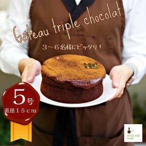 gvKg[VR KibV a  Mtg v[g 55 3` b`XC[c J `R p[^ObZ Kg[VR җ oYj yY   