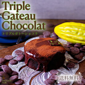トリプルガトーショコラ ガナッシュ 誕生日 送料無料 ギフト プレゼント 55％ 3号〜 リッチスイーツ ご褒美 生チョコ パータグラッセ ガトーショコラ 還暦 出産祝 手土産 お茶会 お持たせ おやつ 食べきりバレンタイン