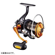 ダイワ リール '19 キャスティズム 25 QD [4]