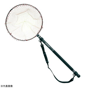 yGg[P10{Iz_C fBO|[II ʖ 45-60 [5]