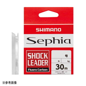 yGg[P10{IzV}m C ZtBA t[_[ 30m LB-E21S 1.75 [[]