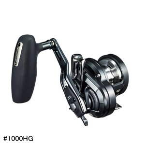 yGg[P10{IzV}m [ '19 IVAWK[ FJX^ 1000HG (E) [4]