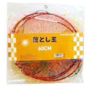 yGg[P10{IzO[[tBbV Ƃ 60cm [5]