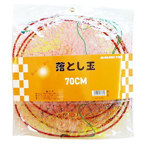 yGg[P10{IzO[[tBbV Ƃ 70cm [5]