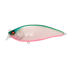 ���K�o�X KONOSIRUS SHAD (�R�m�V���X�V���b�h)(F) PM �x�C�T�C�h�O���[��PB [4]