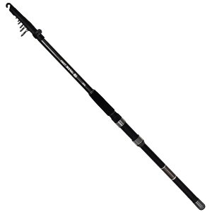 yGg[P10{IzCYEFC t@[XgEBOD 50-300 [5]