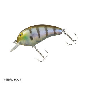 yGg[P10{Iz_C s[ibc DDR M [[]