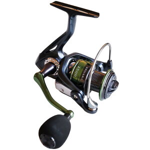 yGg[P10{IzO[[tBbV(Glory Fish) XsjO[ GsZ 2500 [4]