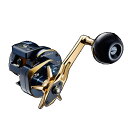 【エントリーでP10倍！】【送料無料4】ダイワ オフショア リール '21 ソルティガIC 300L