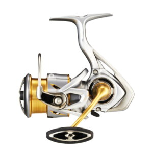 yGg[P10{Iz_C [ '21 t[X LT2500-XH [4]